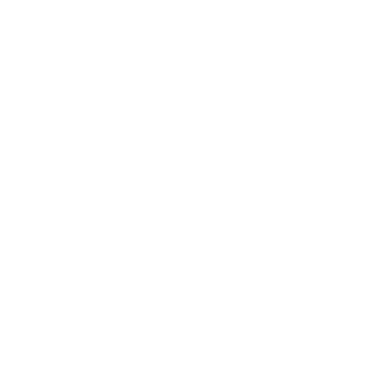 Wavelight Studio Logo